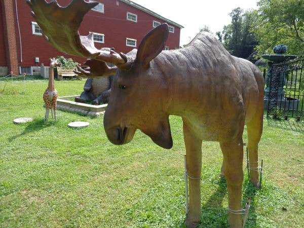 Statue - Life Size Big Moose-Jantiques LLC.