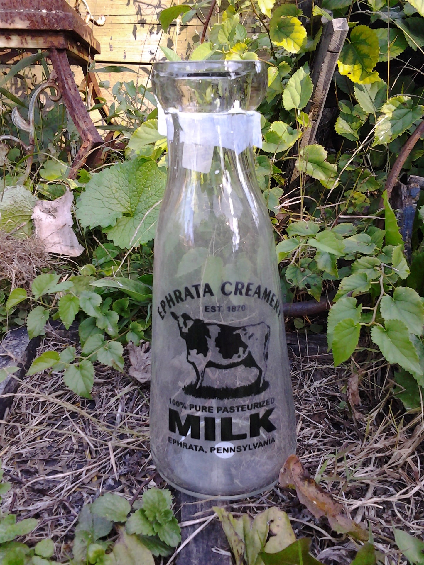 Milk Bottle - Small Ephrata Creamery 1870 (1pc)-Jantiques LLC.