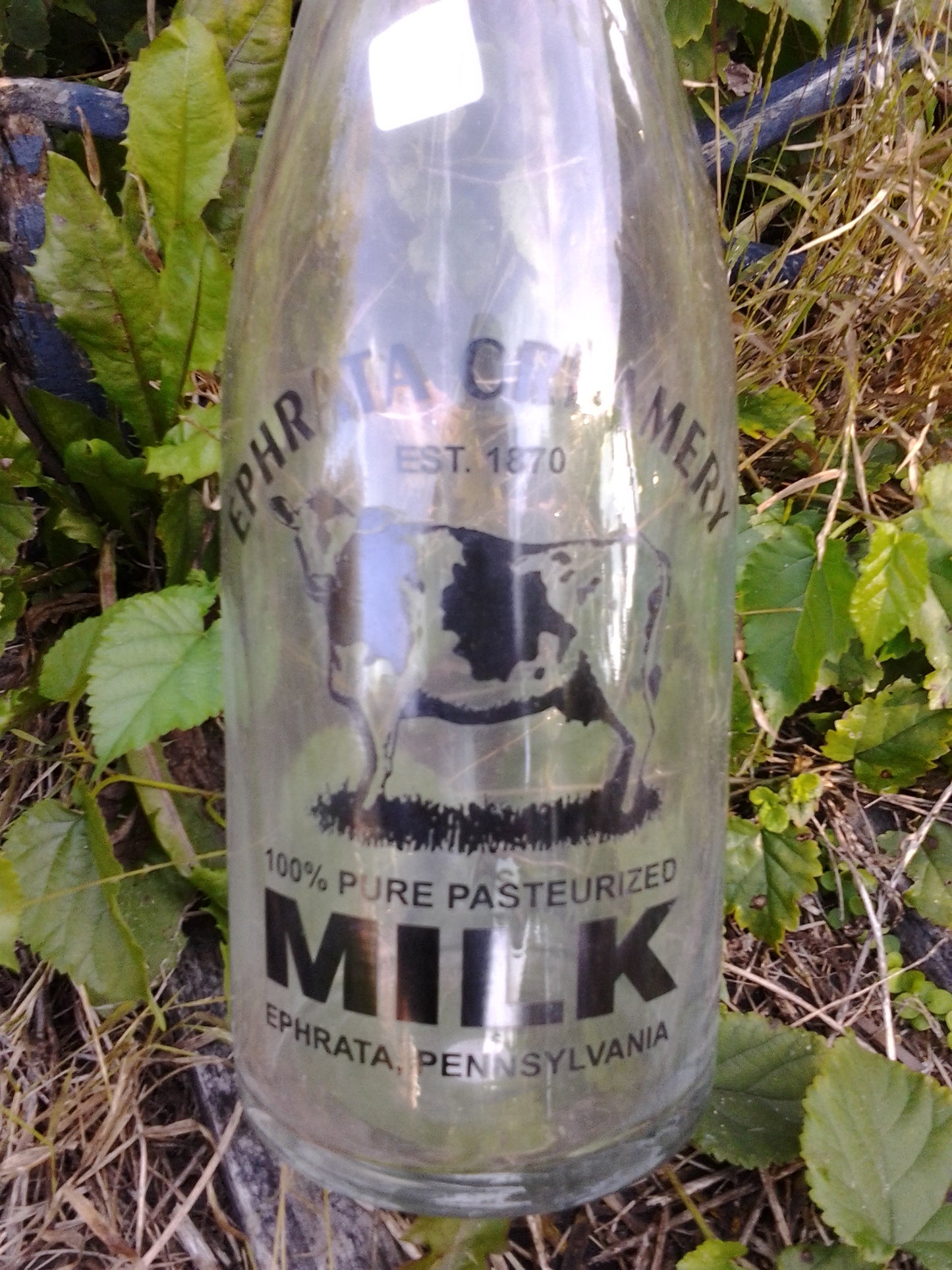 Milk Bottle - Large Ephrata Creamery 1870 (1pc)-Jantiques LLC.