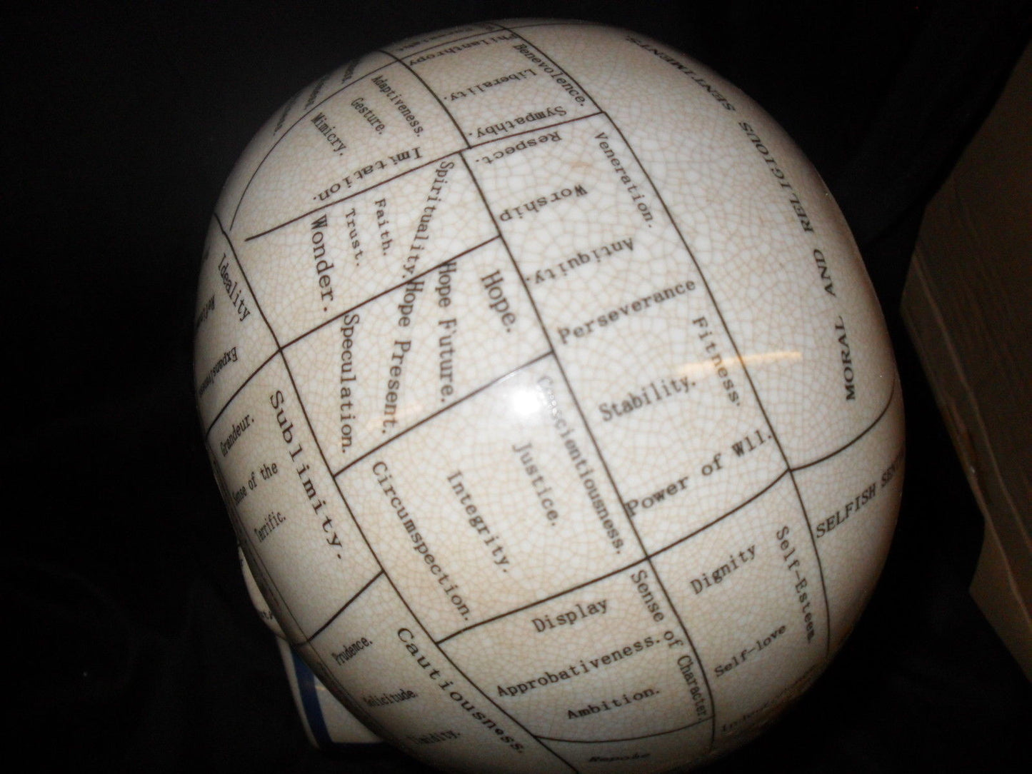 Phrenology 16" Head Bust-Jantiques LLC.