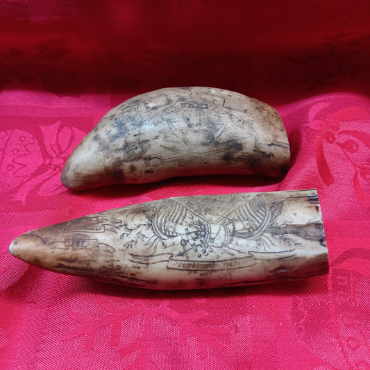 Scrimshaw Resin whale teeth Pair-Jantiques LLC.