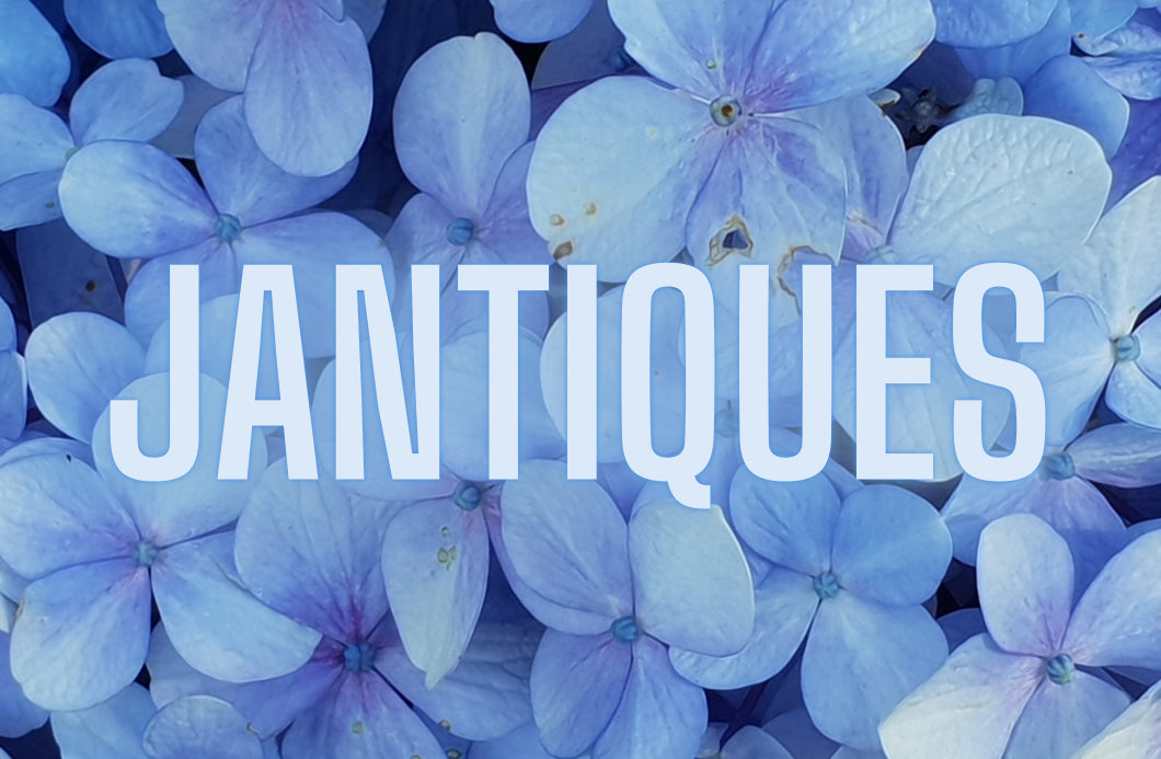 Floral Blue Jantiques Gift Card-Jantiques LLC.