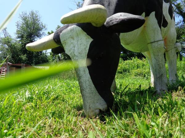 Single Life Size Polyresin Cow (Grazing)-Jantiques LLC.