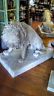 Fiberglass - Pair Lion Statue Driveway Entry-Jantiques LLC.