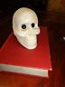 Skull Paperweight Figurine - Skeleton Head Halloween-Jantiques LLC.