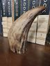 Scrimshaw Resin - Replica Whale Tooth "Commodore Perry" 6"-Jantiques LLC.