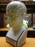 Phrenology 12" Head Bust-Jantiques LLC.