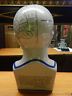 Phrenology 12" Head Bust-Jantiques LLC.