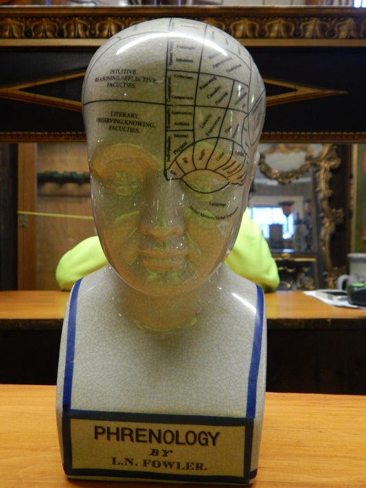 Phrenology 12" Head Bust-Jantiques LLC.