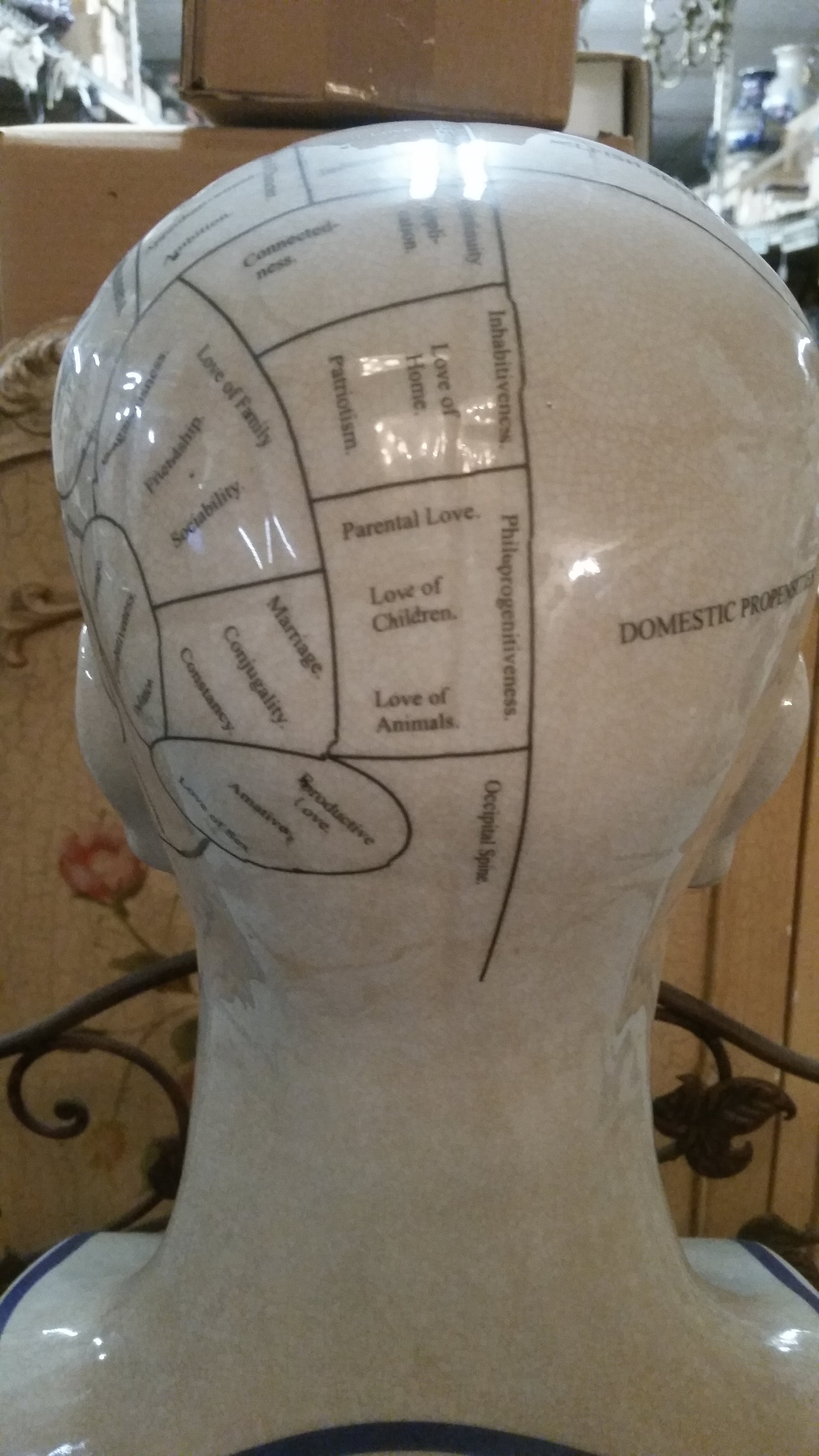 Phrenology 16.5" Head Bust-Jantiques LLC.