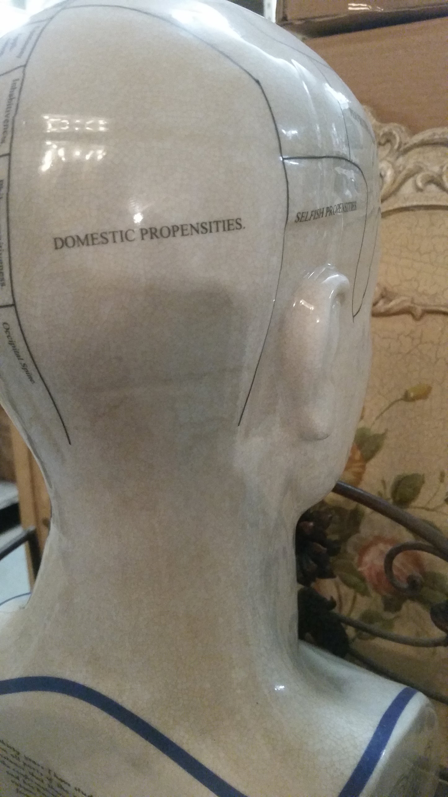 Phrenology 16.5" Head Bust-Jantiques LLC.