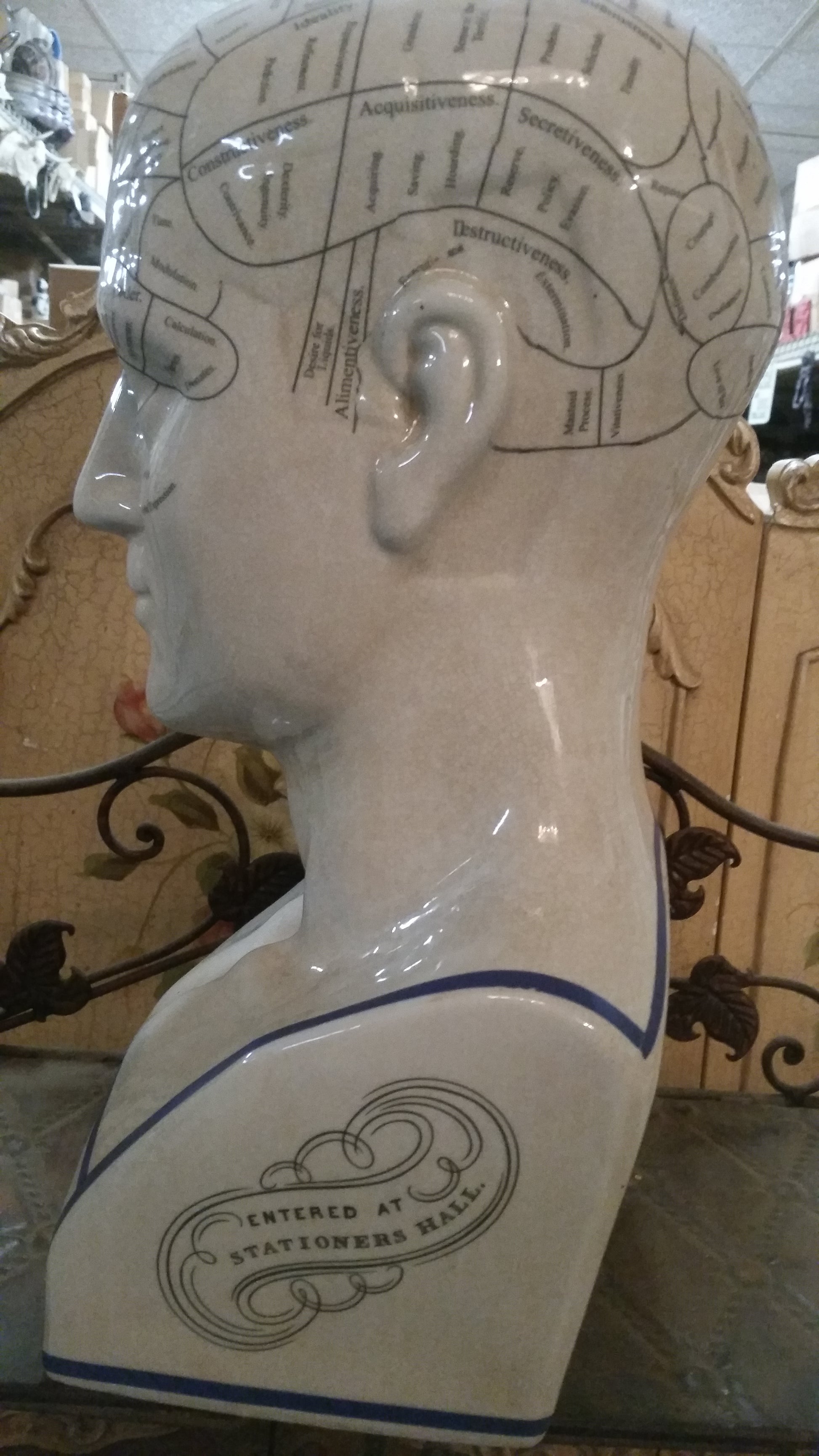 Phrenology 16.5" Head Bust-Jantiques LLC.