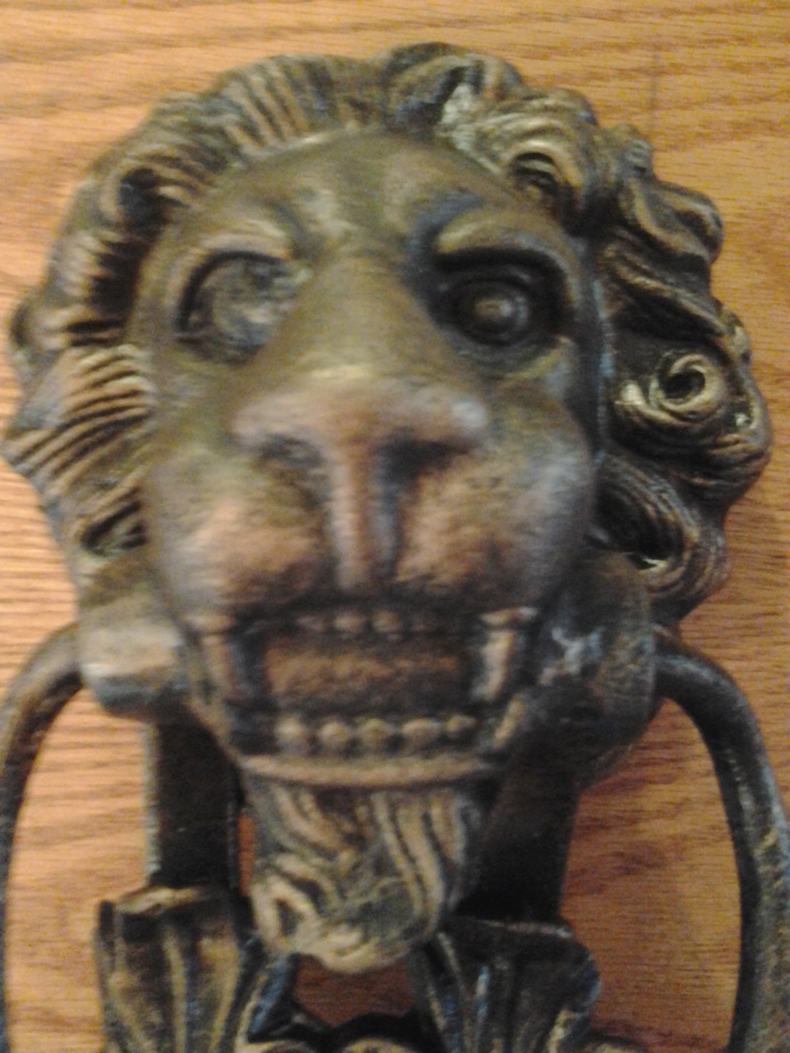 Lion Door Knocker -Cast Iron Gothic Lion Head-Jantiques LLC.