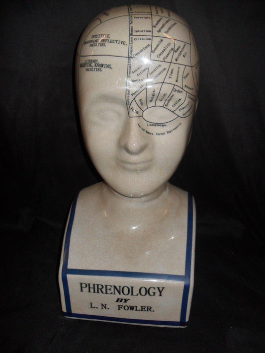 Phrenology 16" Head Bust-Jantiques LLC.