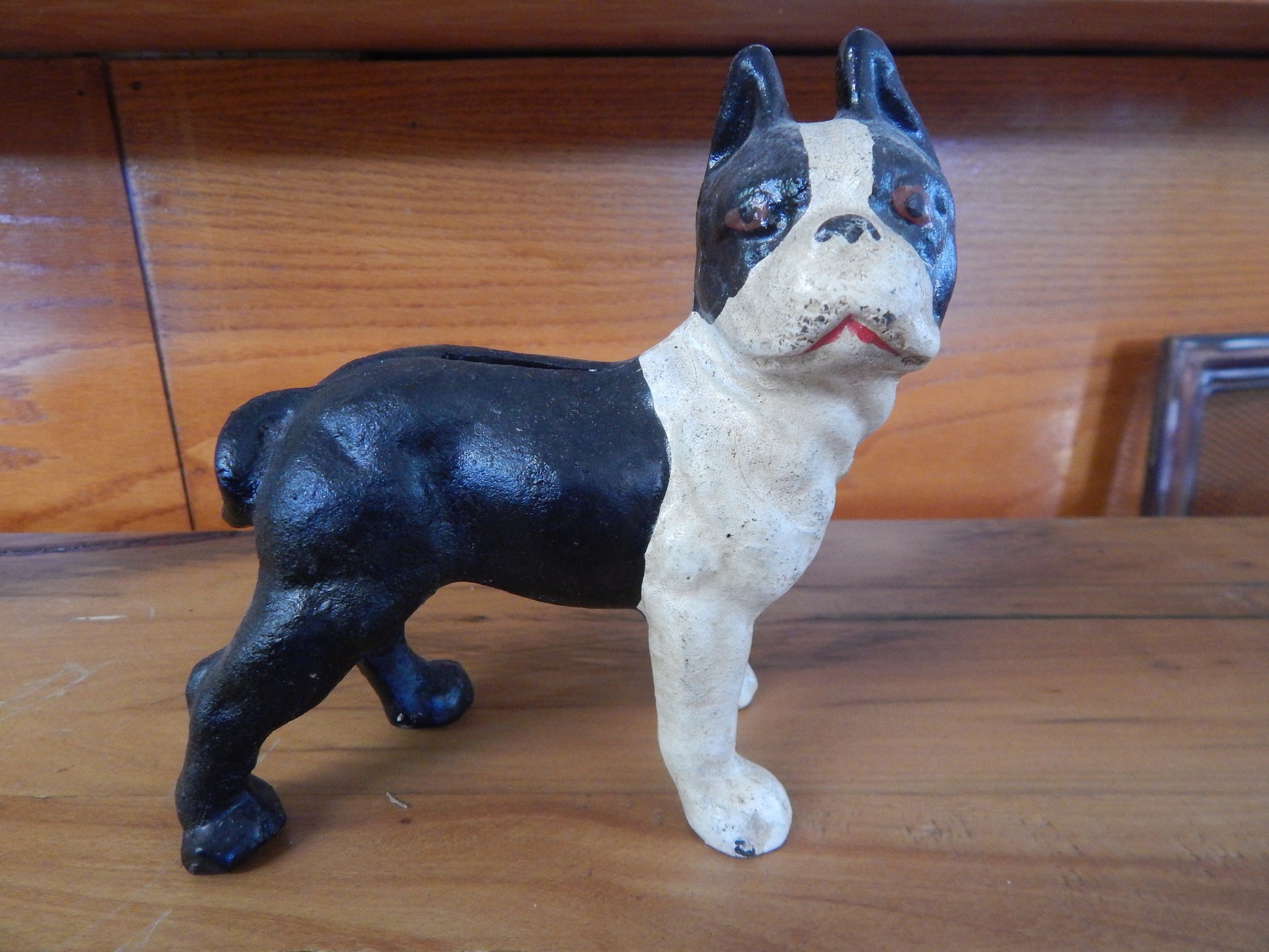 Cast Iron Bank - Small Boston Terrier-Jantiques LLC.