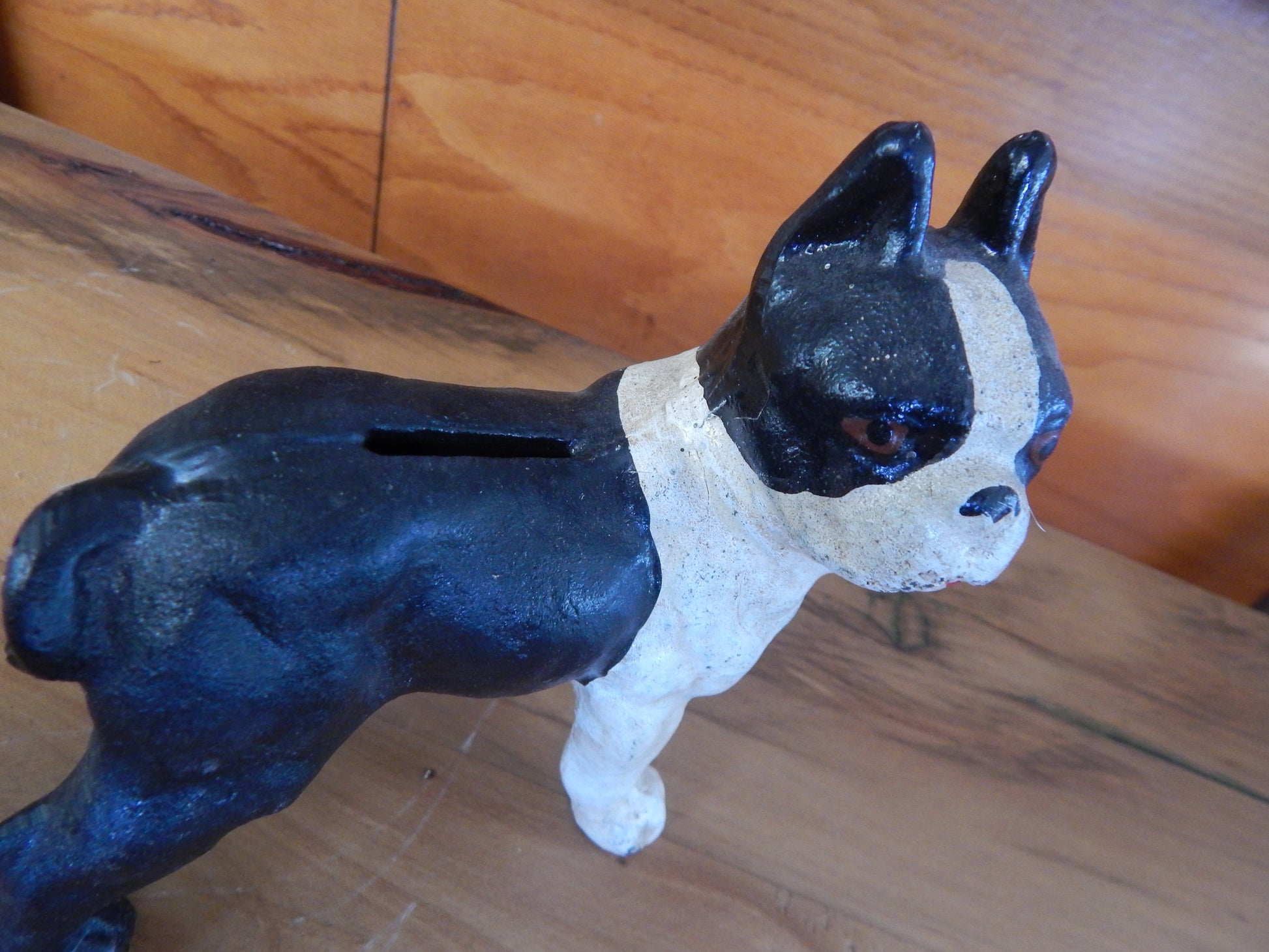 Cast Iron Bank - Small Boston Terrier-Jantiques LLC.