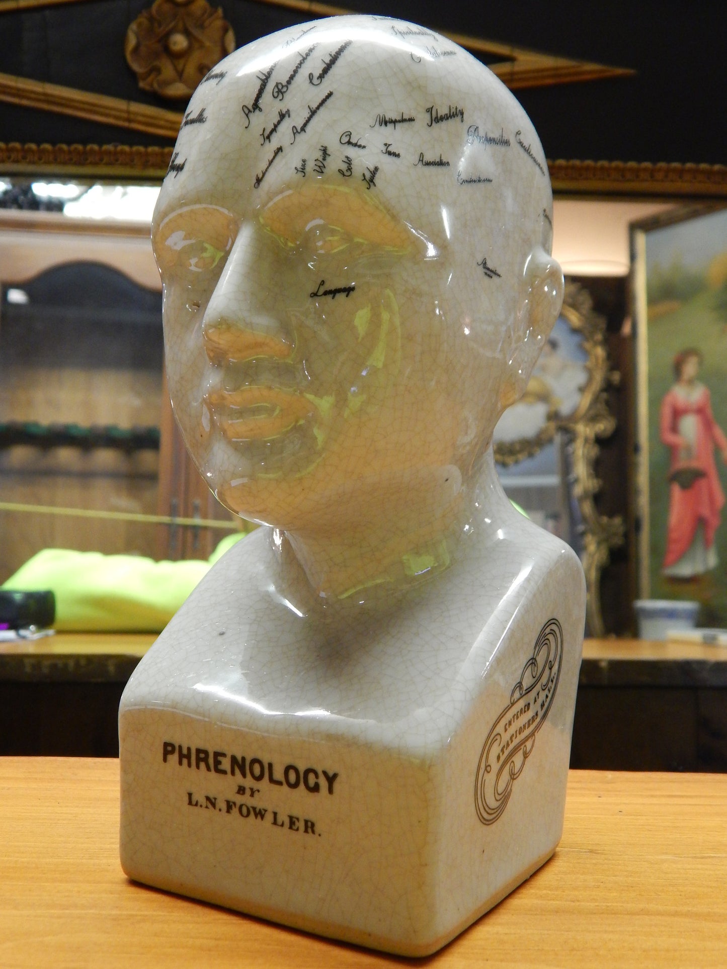 Phrenology 8" Head Bust-Jantiques LLC.