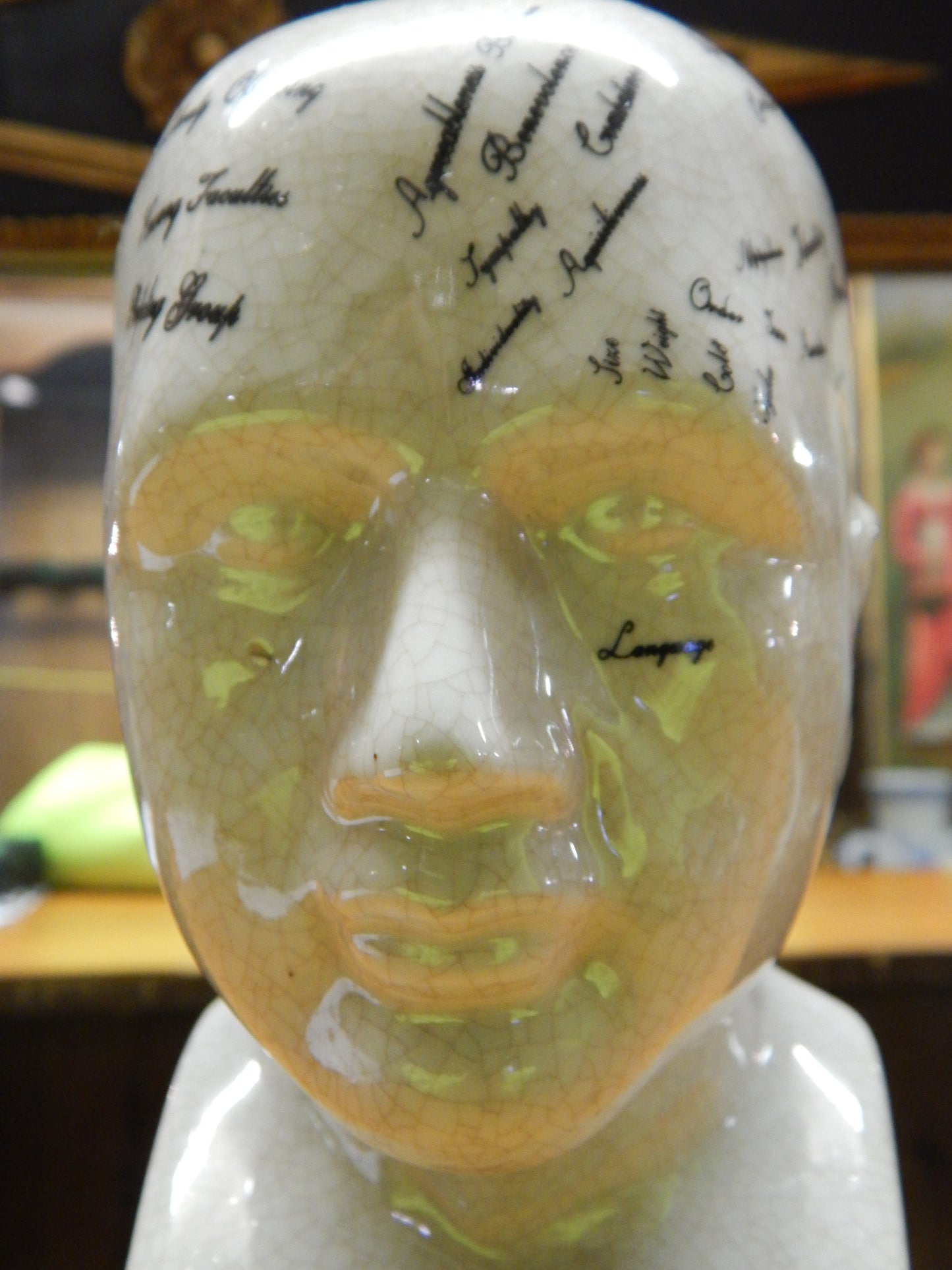 Phrenology 8" Head Bust-Jantiques LLC.