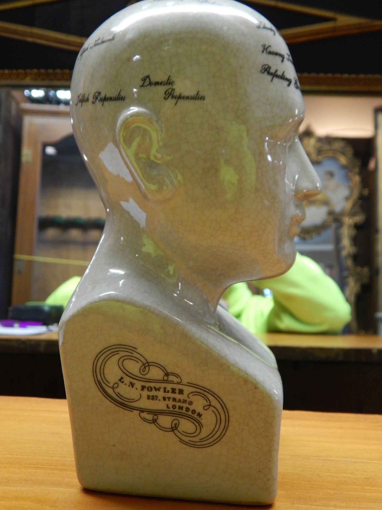 Phrenology 8" Head Bust-Jantiques LLC.