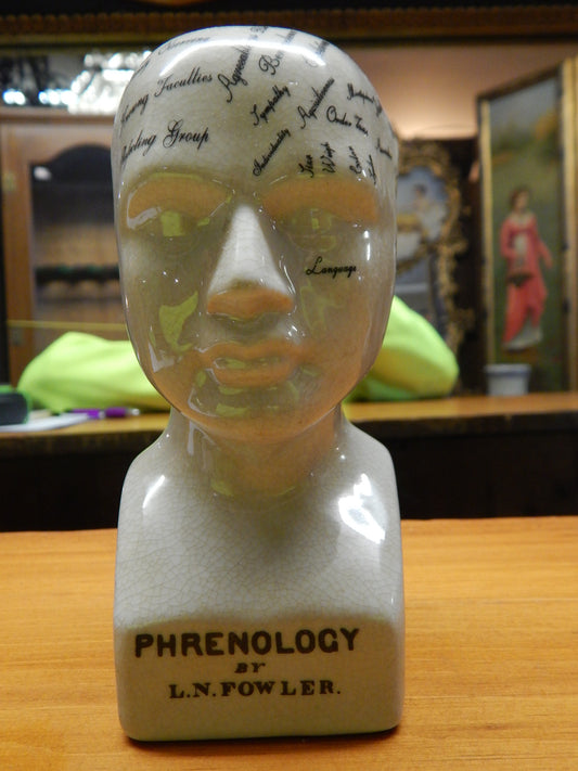 Phrenology 6" Head Bust-Jantiques LLC.