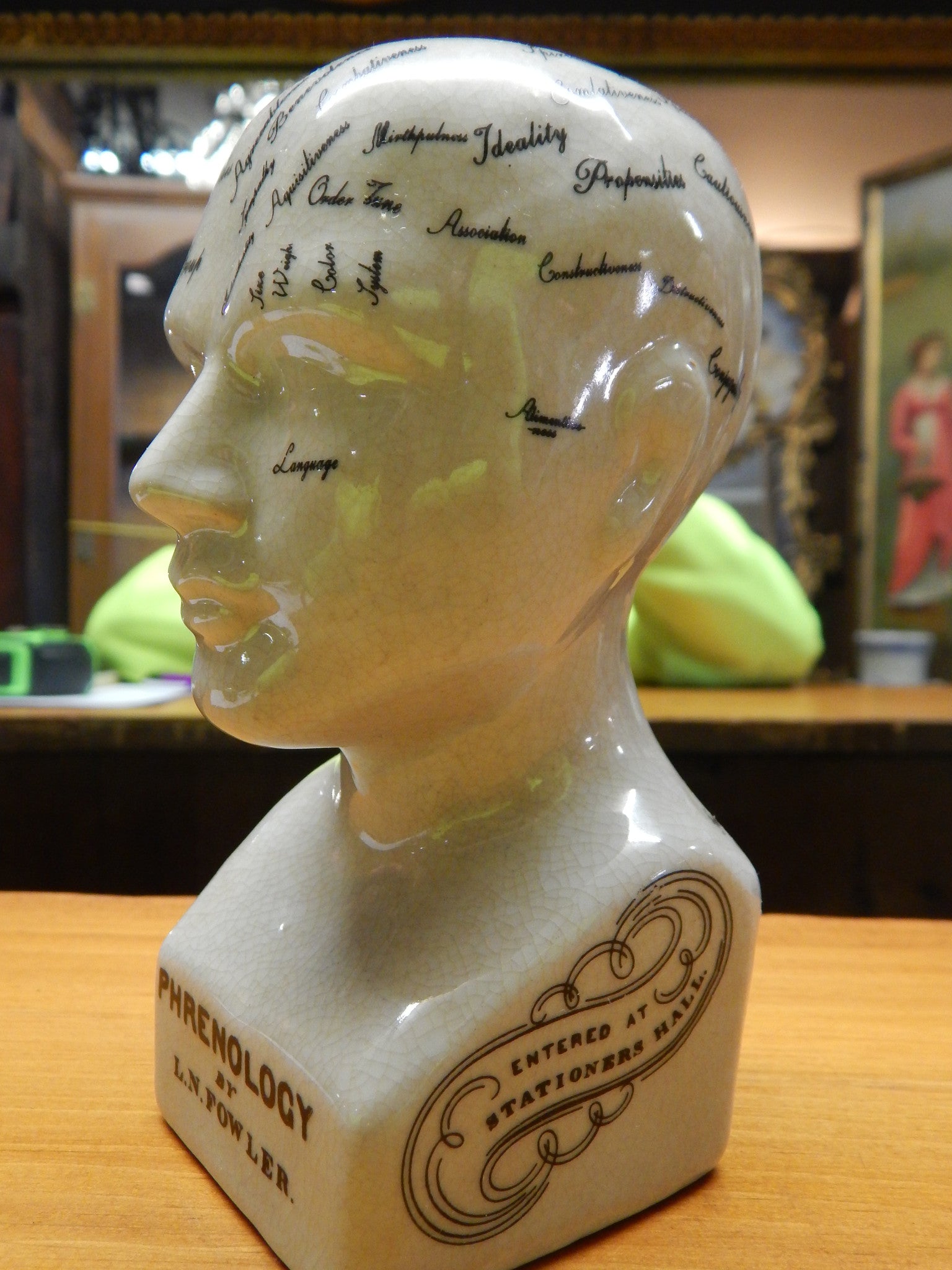 Phrenology 6" Head Bust-Jantiques LLC.