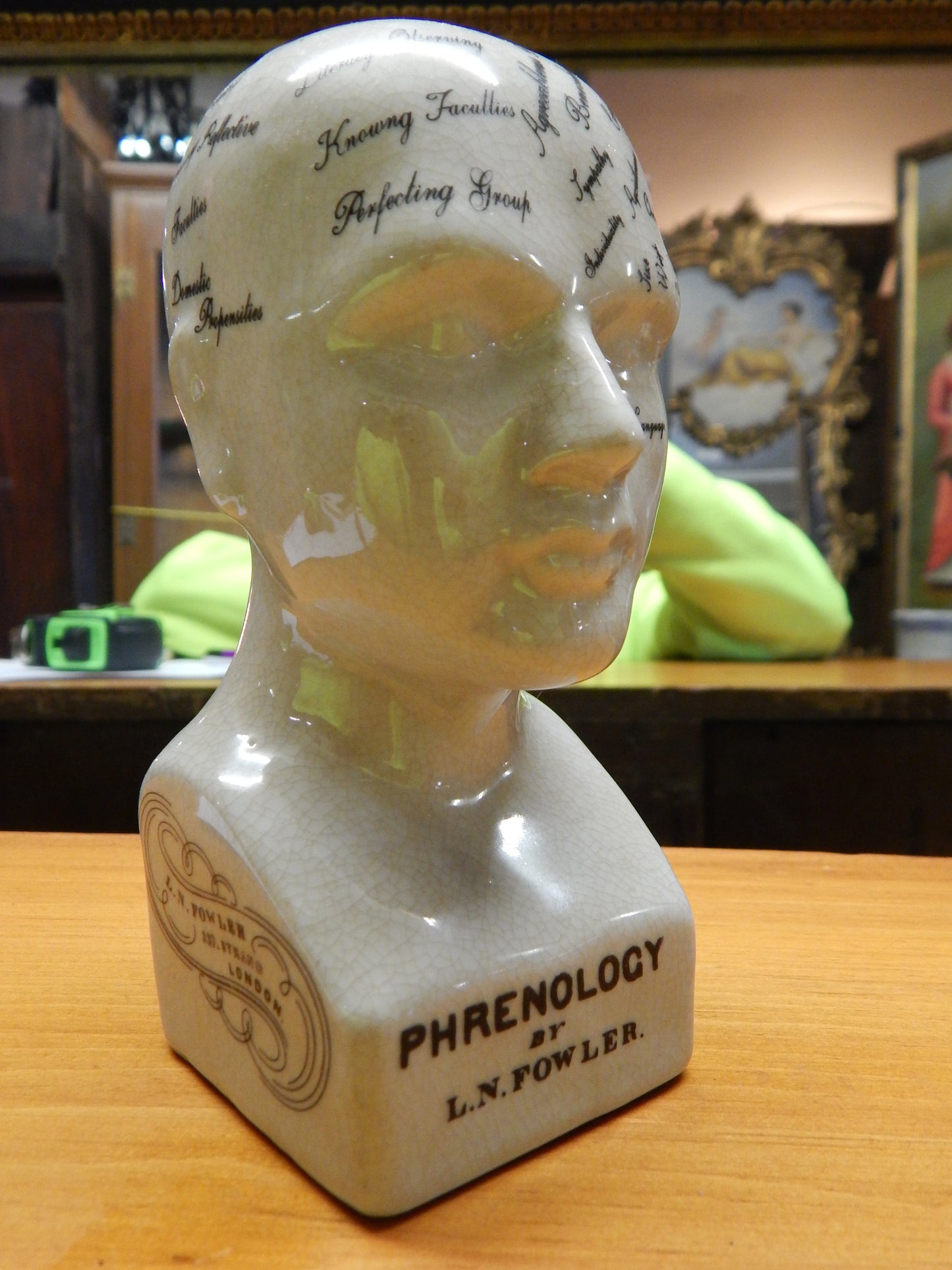 Phrenology 6" Head Bust-Jantiques LLC.