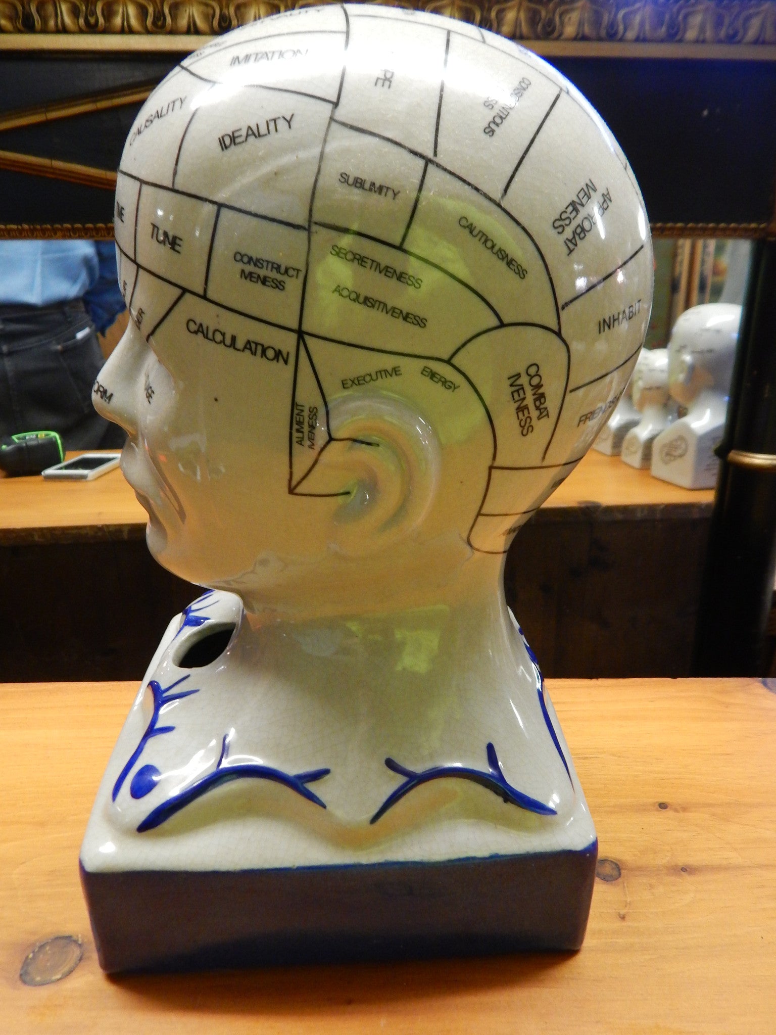 Phrenology 13" Head Burst-Jantiques LLC.