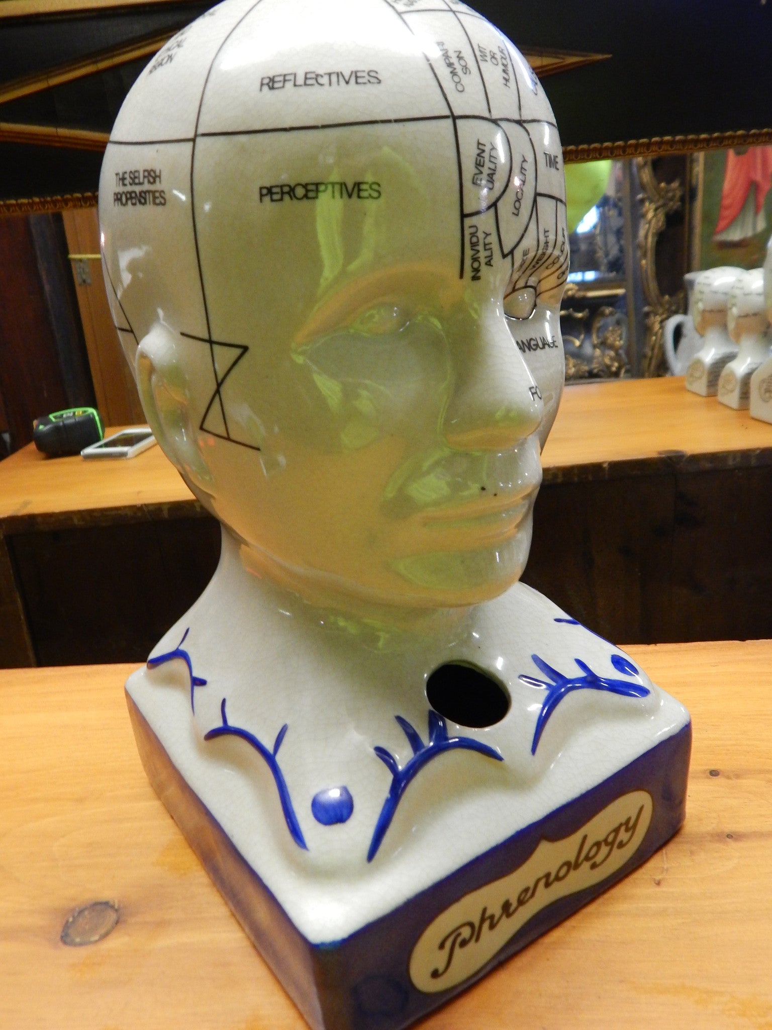 Phrenology 13" Head Burst-Jantiques LLC.