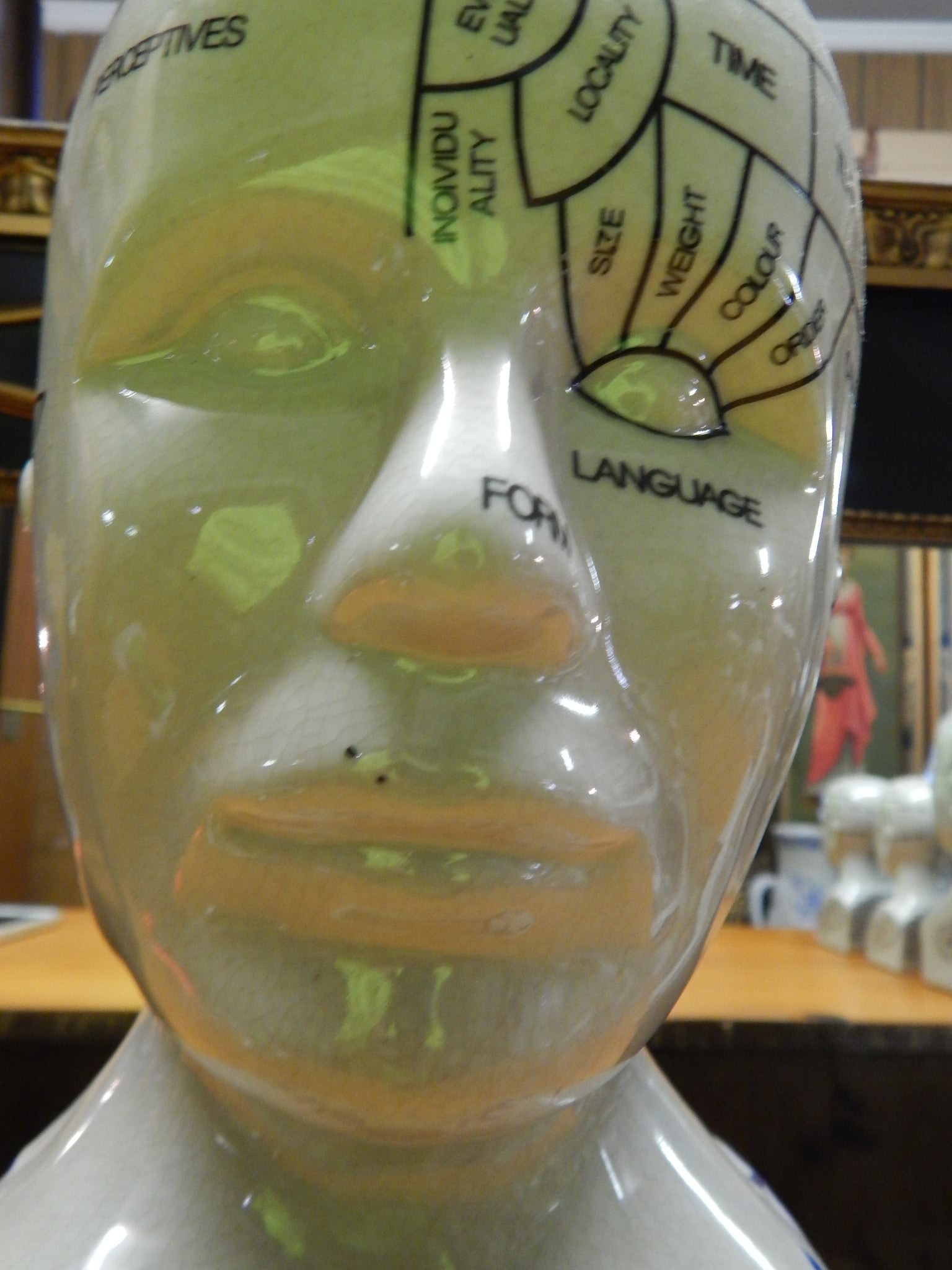 Phrenology 13" Head Burst-Jantiques LLC.