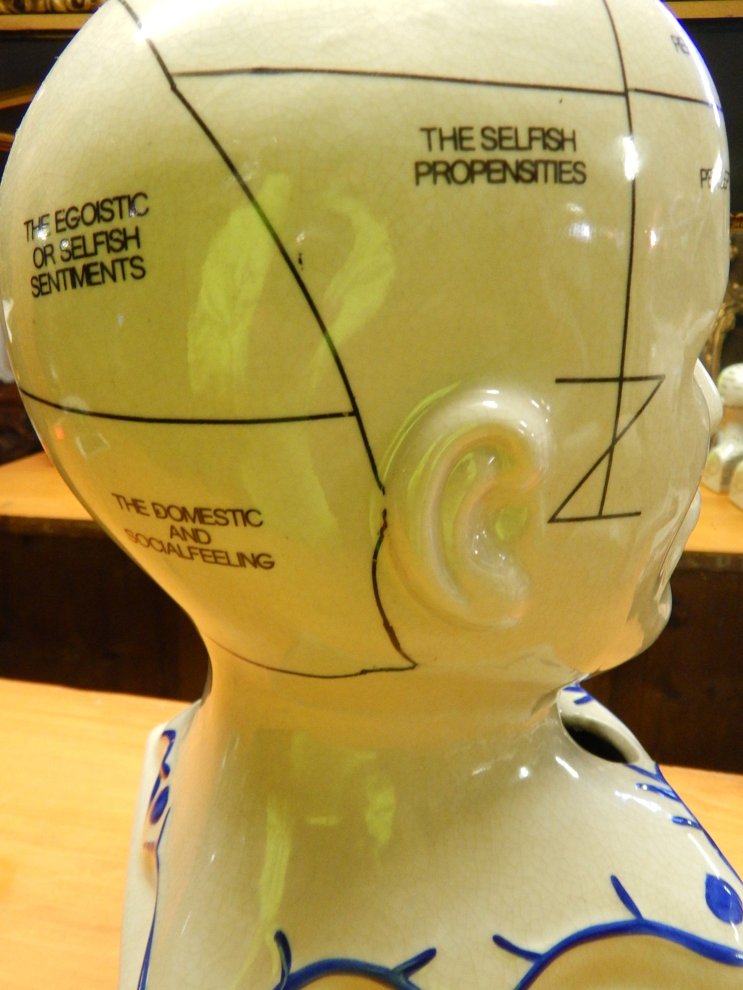 Phrenology 13" Head Burst-Jantiques LLC.