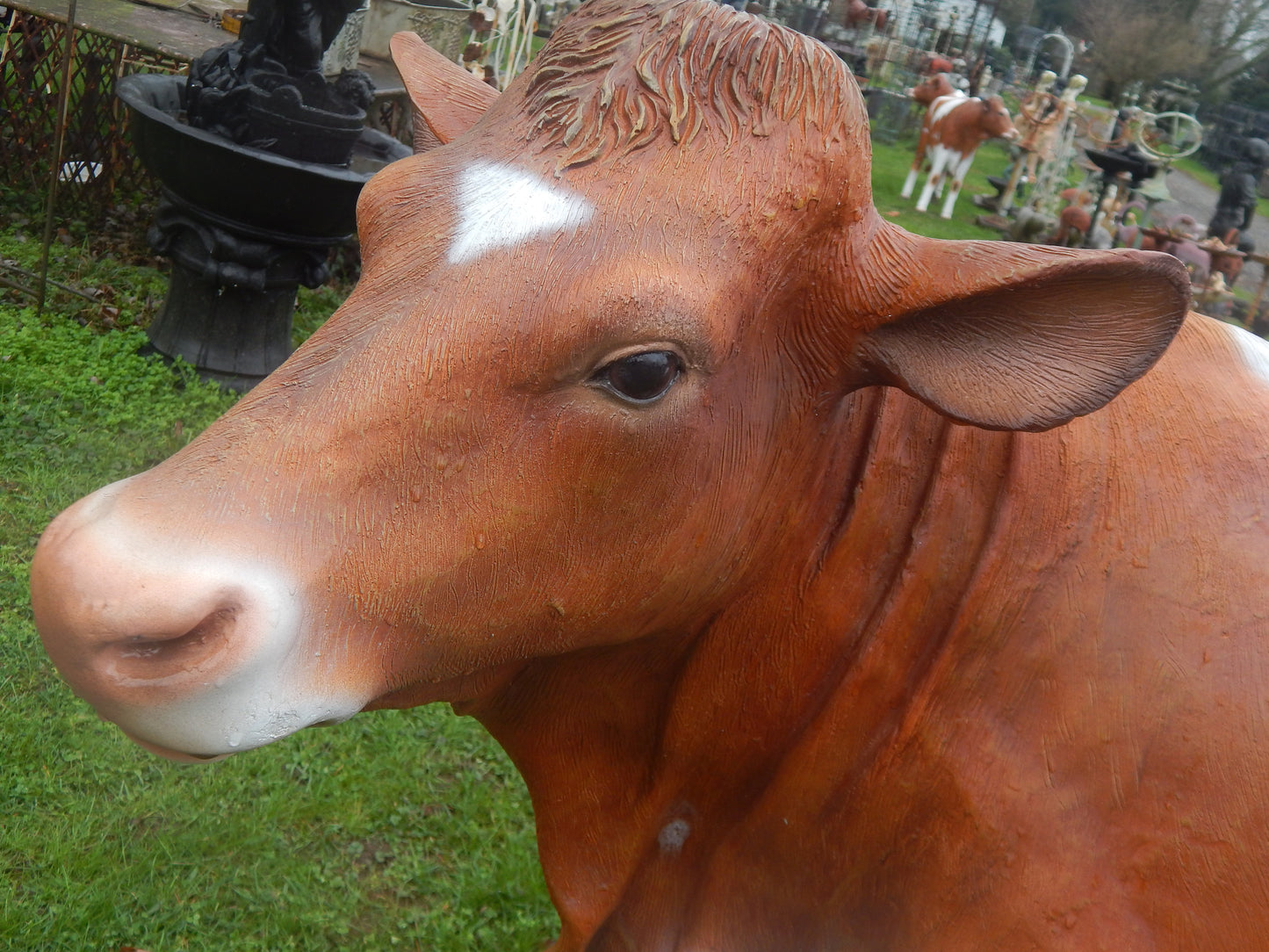 Guernsey Cow Life Size-Jantiques LLC.