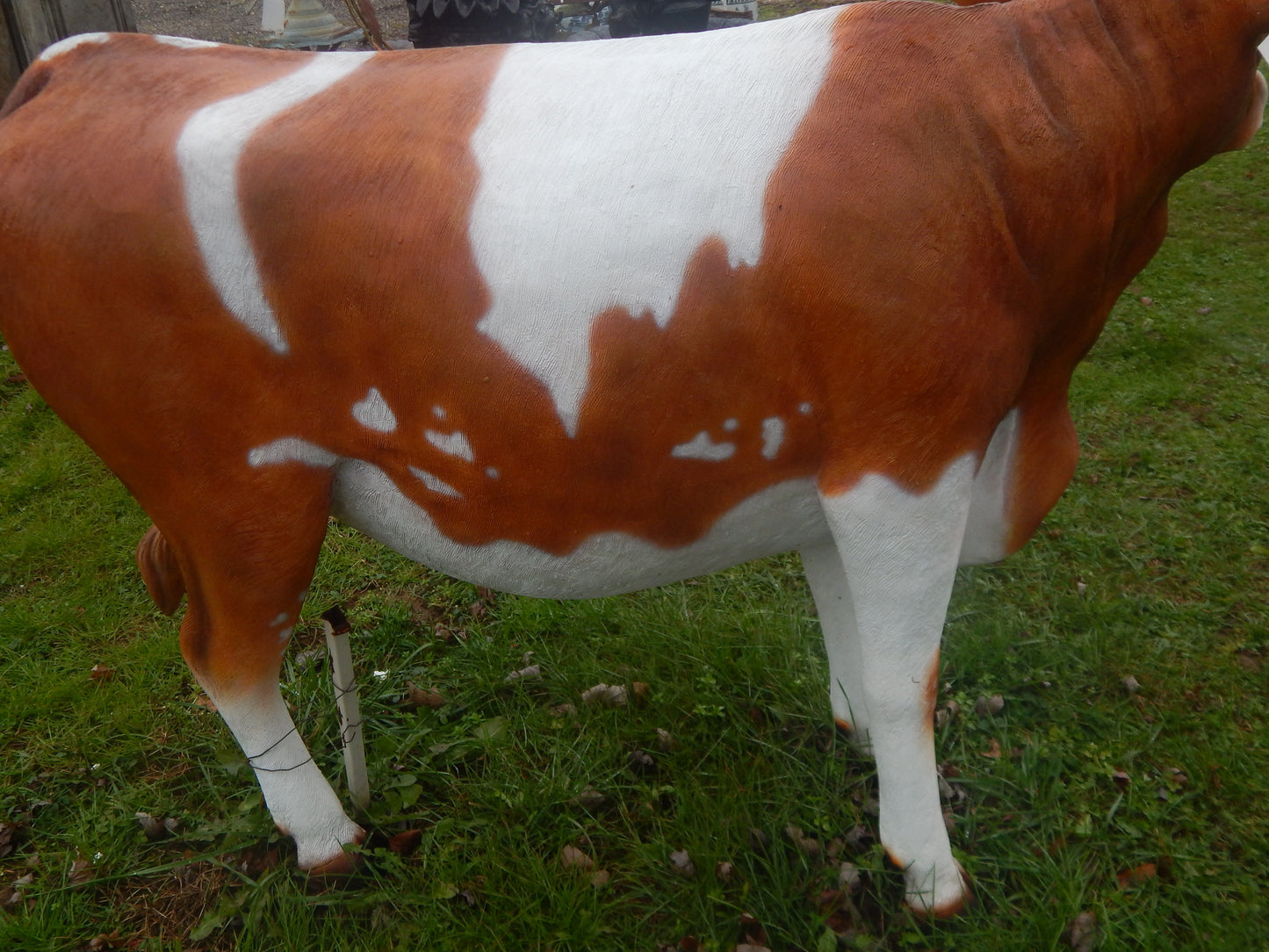 Guernsey Cow Life Size-Jantiques LLC.