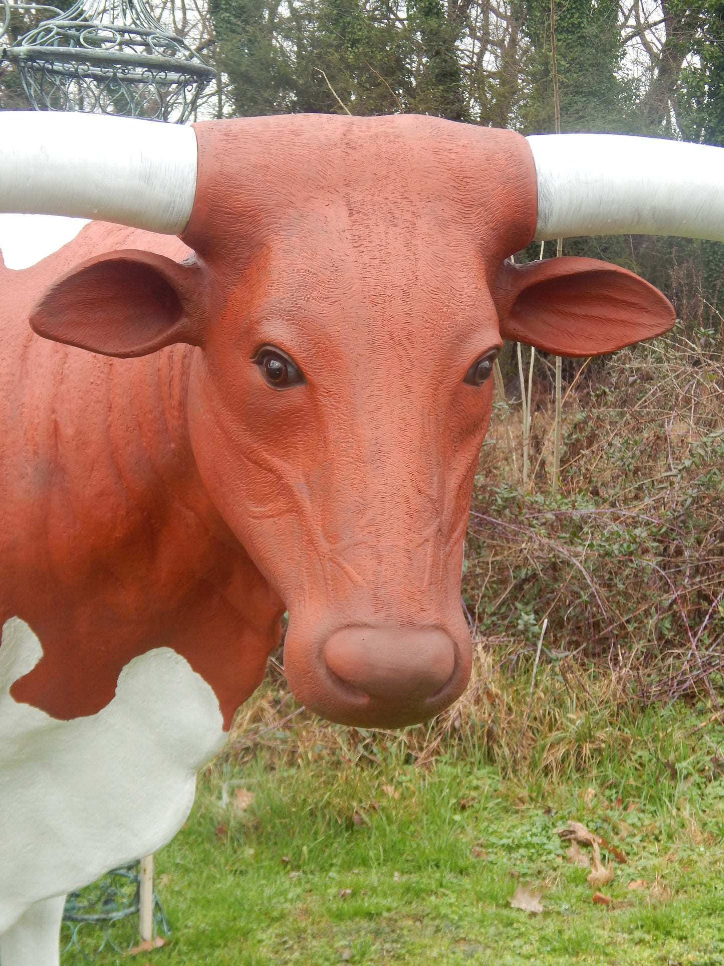 Life Size Longhorn Steer Polyresin Longhorn Steer-Jantiques LLC.