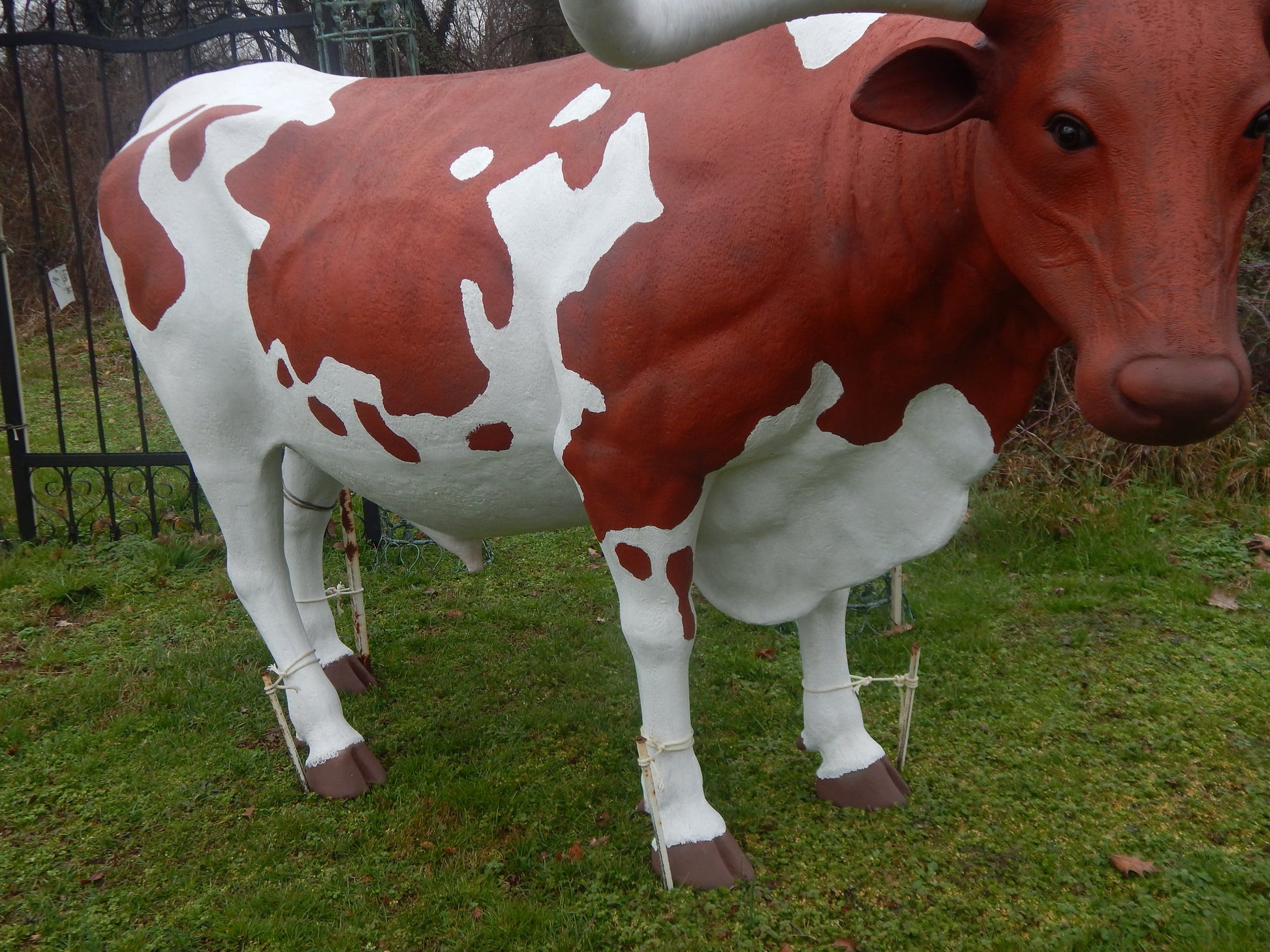 Life Size Longhorn Steer Polyresin Longhorn Steer-Jantiques LLC.