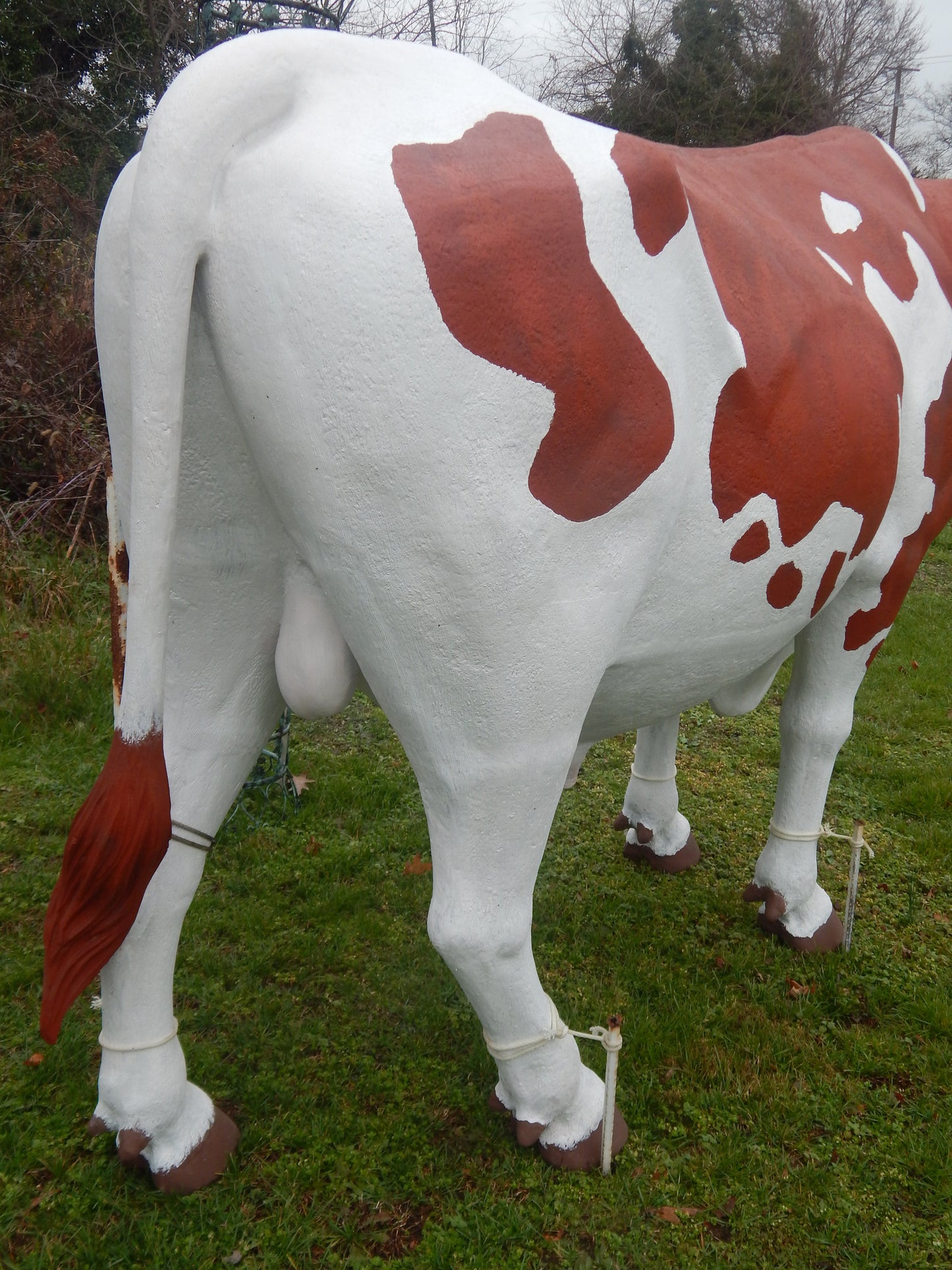 Life Size Longhorn Steer Polyresin Longhorn Steer-Jantiques LLC.