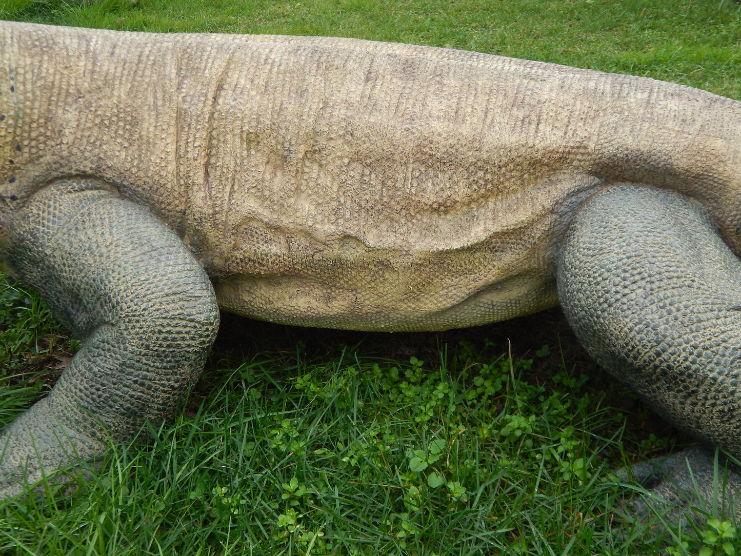 Statue - Life Size Reptile Komodo Dragon-Jantiques LLC.