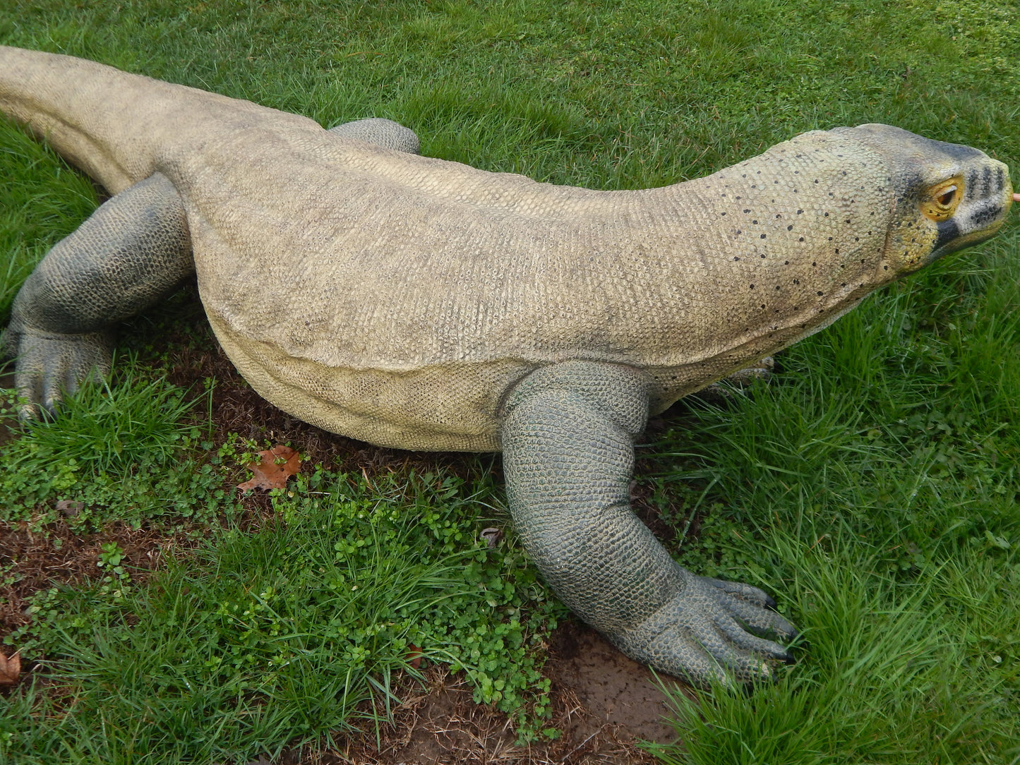 Statue - Life Size Reptile Komodo Dragon-Jantiques LLC.