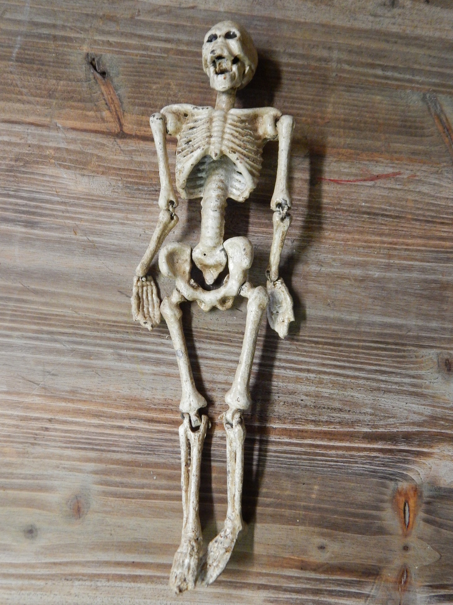 Anatomical Human Skeleton Cast Iron-Jantiques LLC.