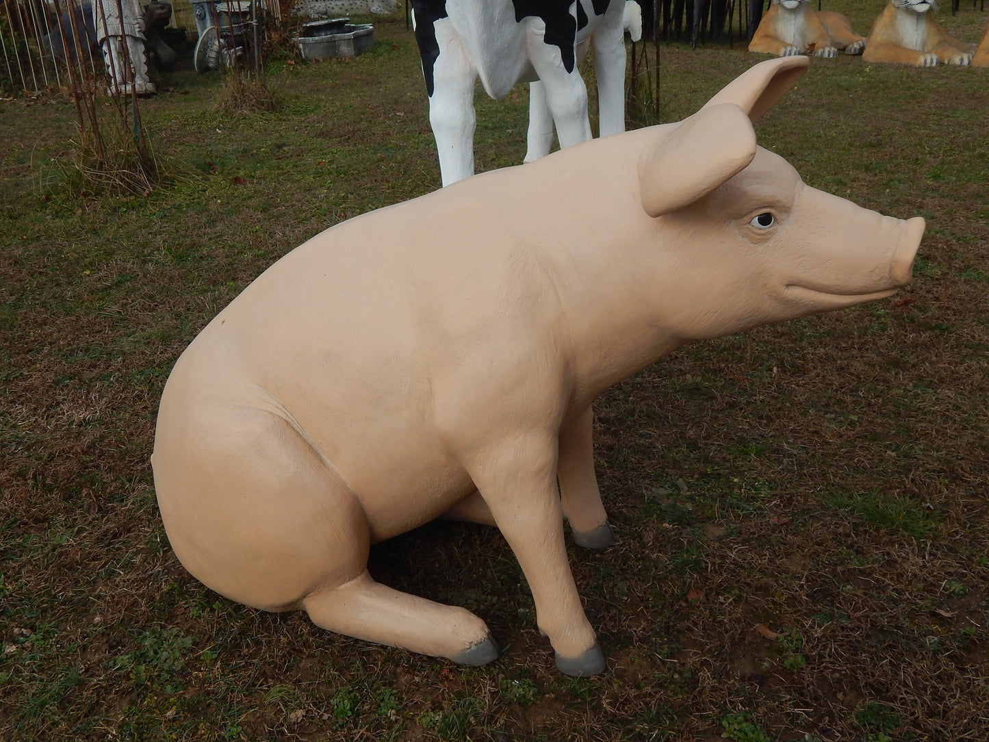 Statue - Life Size Piggy Sitting-Jantiques LLC.