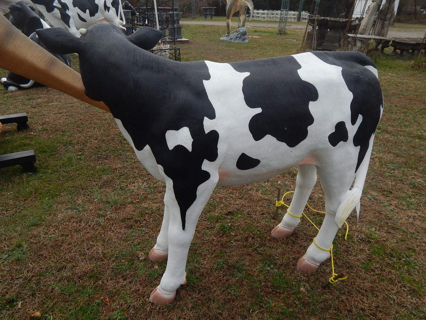 Calf Life Size Medium-Jantiques LLC.