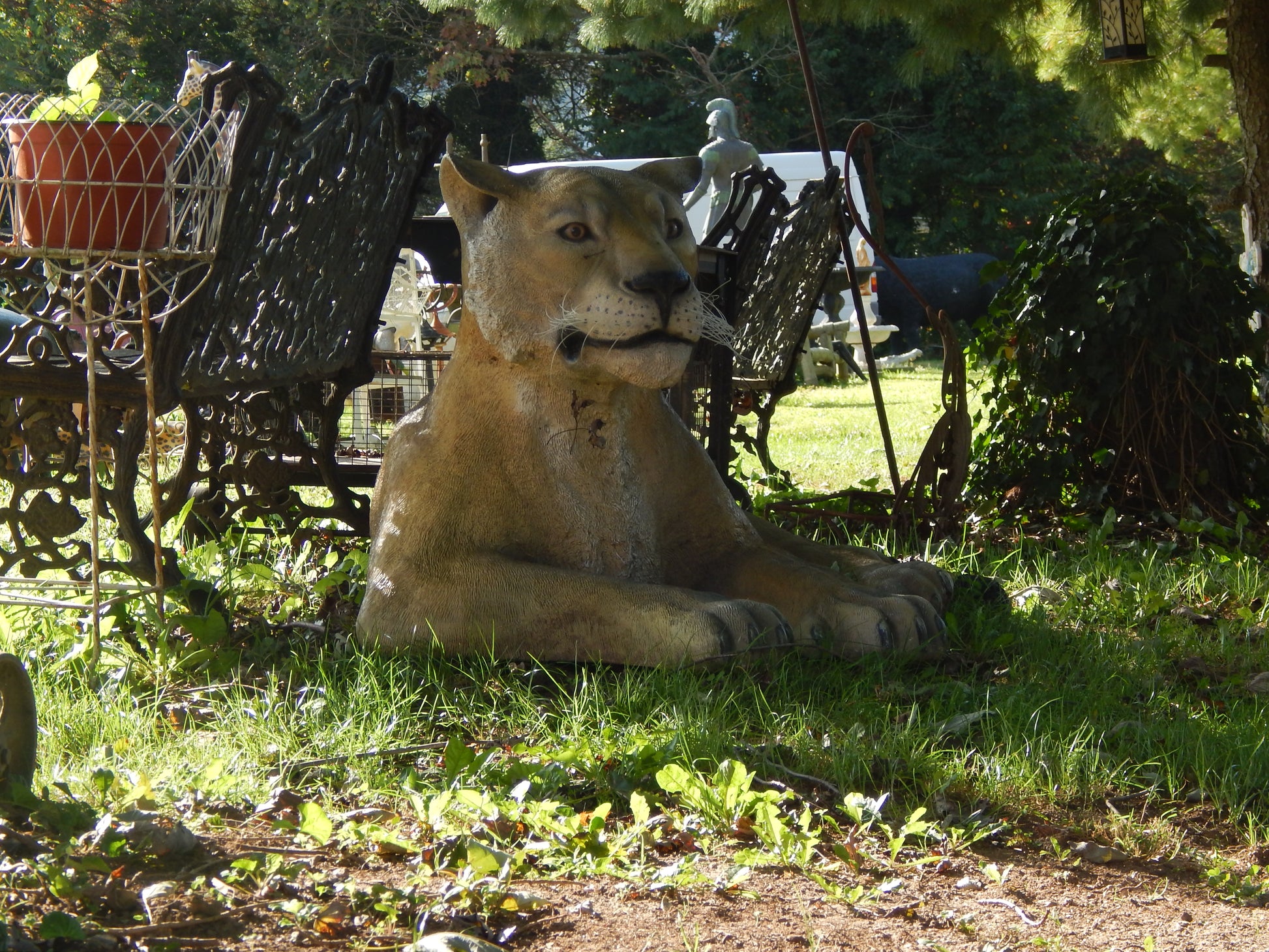 Statue - Life Size Lioness-Jantiques LLC.