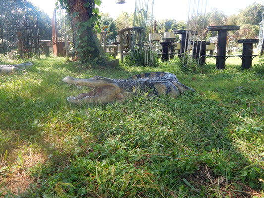 Statue - Life Size 8 Ft American Realistic Alligator-Jantiques LLC.