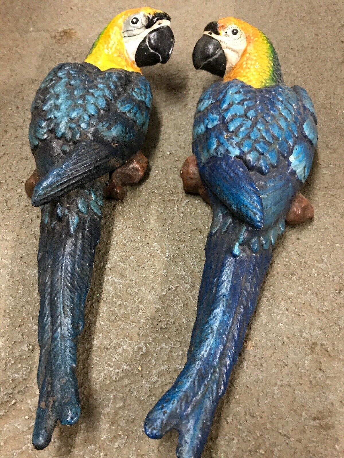 CAST IRON PAIR OF WALL MOUNT BLUE PARROT-Jantiques LLC.